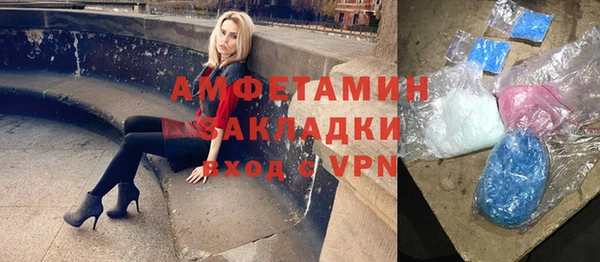 трава Няндома