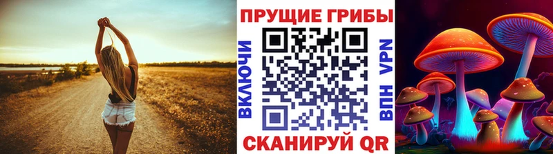 маркетплейс состав  Шатура  Галлюциногенные грибы Psilocybine cubensis  как найти закладки 